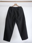 画像8: 「TEATORA」(テアトラ)WALLET PANTS RESORT BR-PLUS (8)
