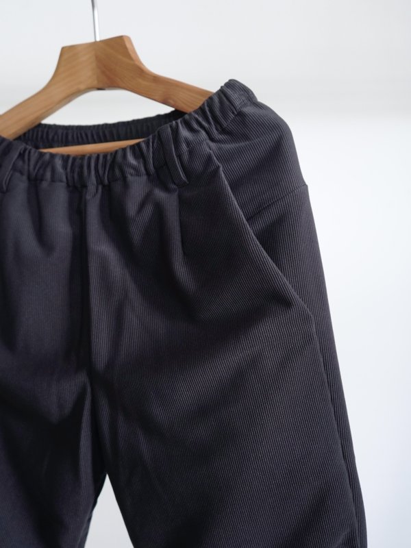 画像4: 「TEATORA」(テアトラ)WALLET PANTS  DUAL DIVISOR .02 -ASH NAVY- (4)