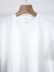 画像8: 「Y」 (ワイ)ORGANIC COTTON JERSEY S/S T (8)