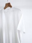 画像6: 「Y」 (ワイ)ORGANIC COTTON JERSEY S/S T (6)