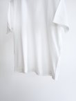 画像9: 「Y」 (ワイ)ORGANIC COTTON JERSEY S/S T (9)