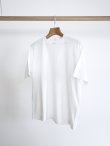 画像11: 「Y」 (ワイ)ORGANIC COTTON JERSEY S/S T (11)
