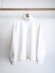 画像2: 「Y」 (ワイ)RECYCLE POLYESTER FLEECE HALF ZIP P/O (2)