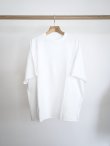 画像2: 「COMOLI」LWコットン裏毛半袖クルー (2)