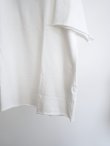 画像5: 「COMOLI」LWコットン裏毛半袖クルー (5)
