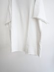 画像9: 「COMOLI」LWコットン裏毛半袖クルー (9)