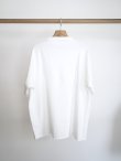 画像10: 「COMOLI」LWコットン裏毛半袖クルー (10)